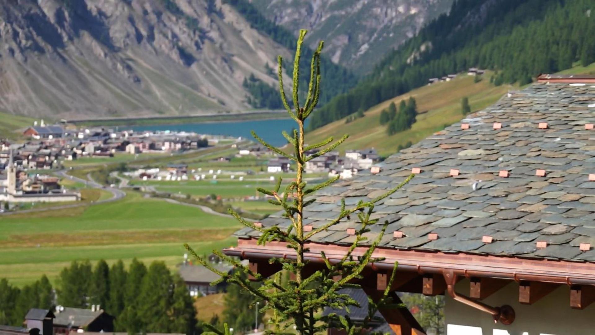 Chalet Elena Livigno Exterior foto